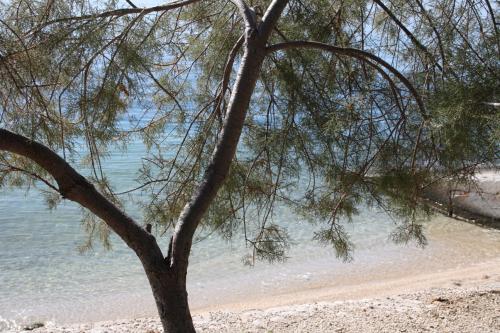 Apartments Belvedere - Seget Vranjica